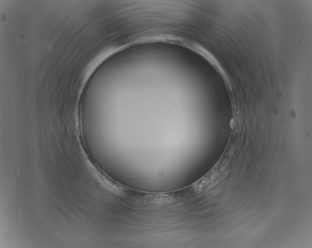 X0000073710811200608171136