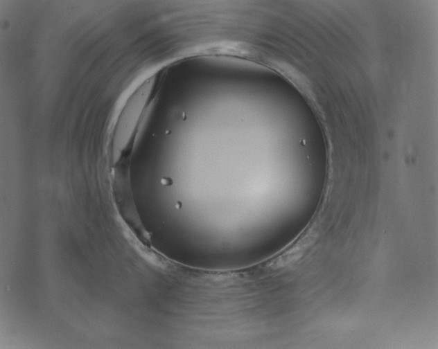 X0000073710816200608171136