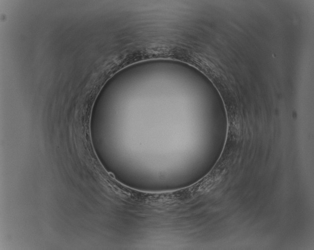 X0000073710817200608171136