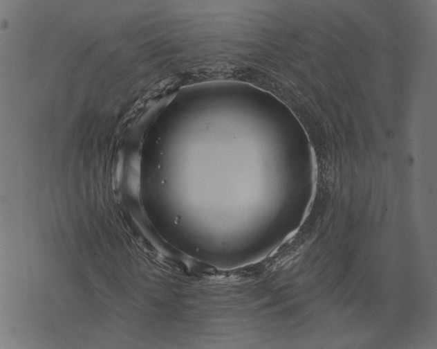 X0000073710818200608171136