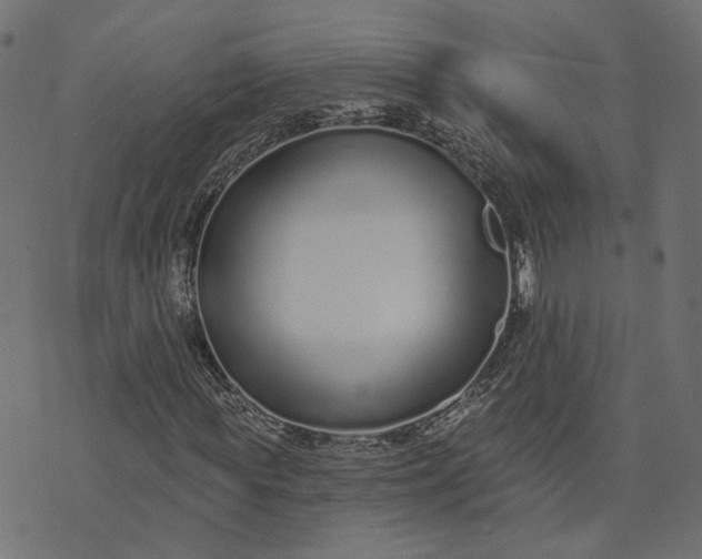 X0000073710819200608171136