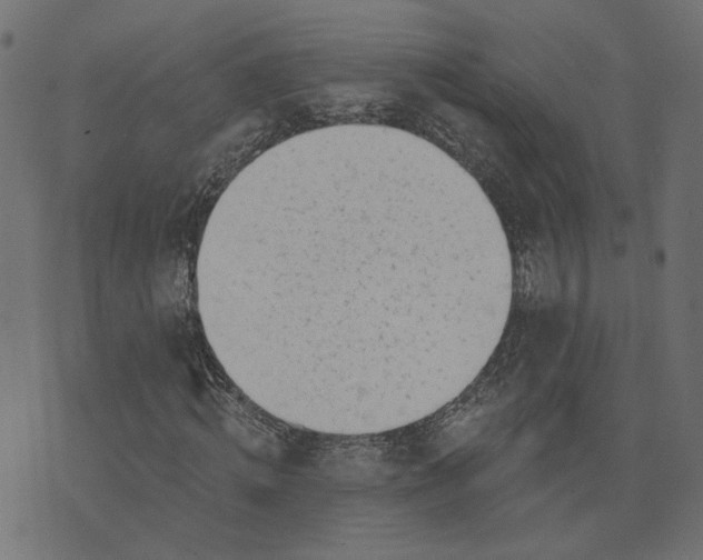 X0000073710820200608171136