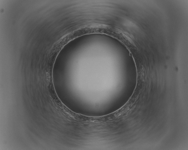 X0000073710821200608171136