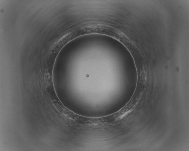 X0000073710822200608171136