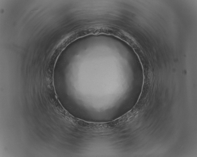 X0000073710823200608171136