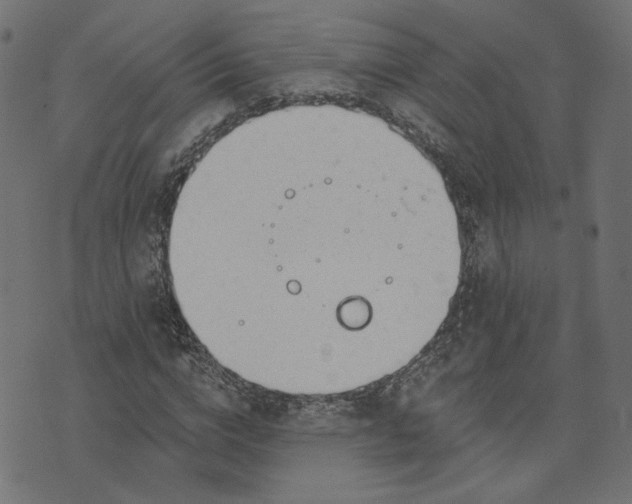 X0000073710824200608171136