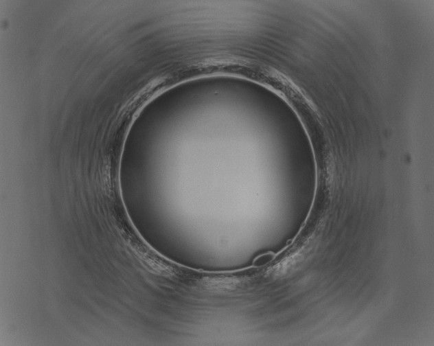 X0000073710825200608171136