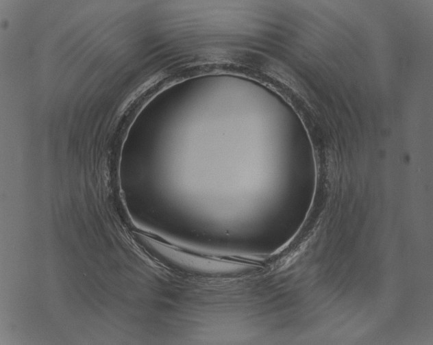 X0000073710826200608171136