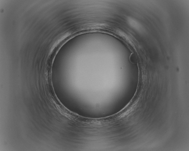 X0000073710827200608171136