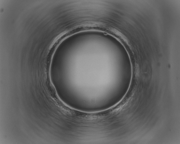 X0000073710829200608171136