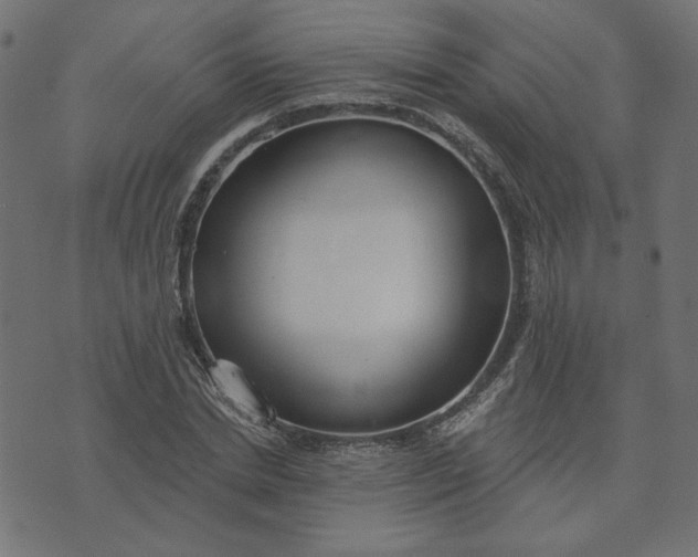 X0000073710830200608171136