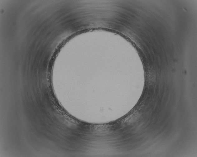 X0000073710832200608171136