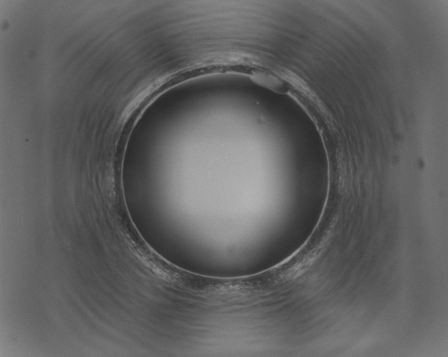 X0000073710834200608171136