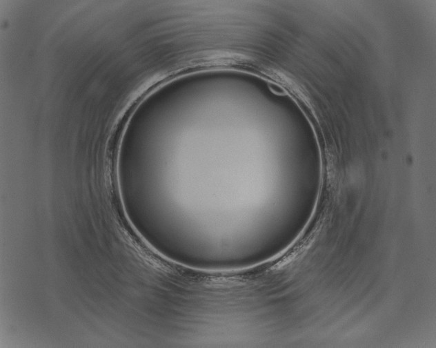 X0000073710835200608171136