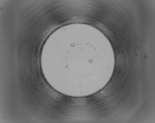 X0000073710836200608171136