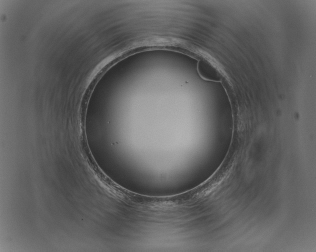 X0000073710837200608171136