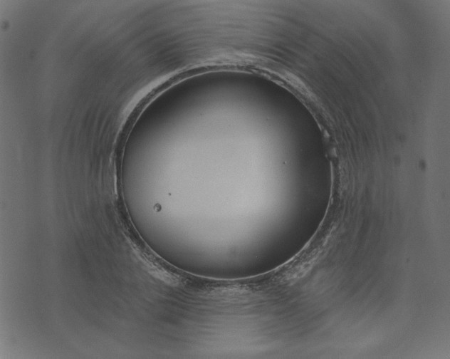 X0000073710838200608171136