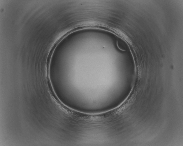 X0000073710839200608171136