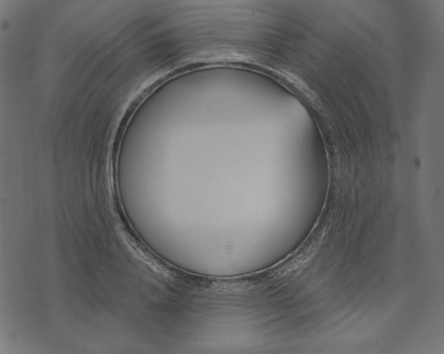 X0000073710840200608171136