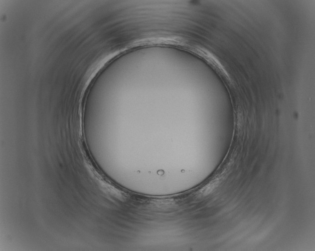 X0000073710844200608171136