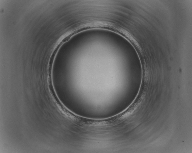 X0000073710845200608171136