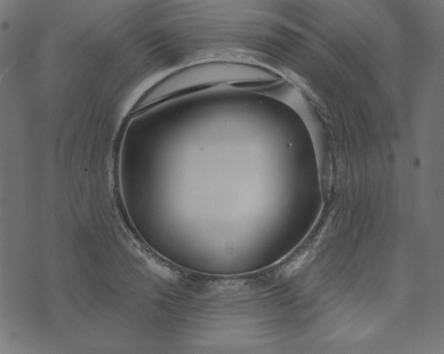 X0000073710846200608171136