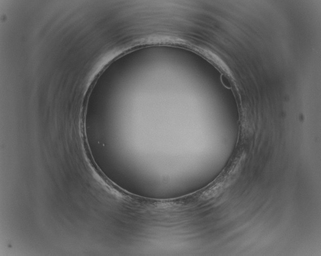 X0000073710847200608171136