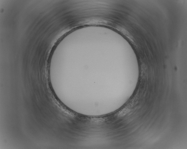 X0000073710848200608171136