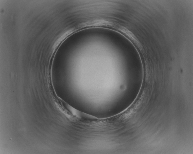 X0000073710850200608171136