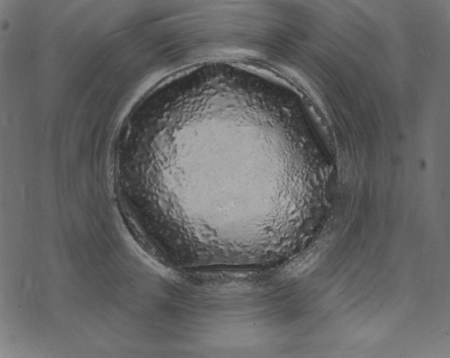 X0000073710851200608171136