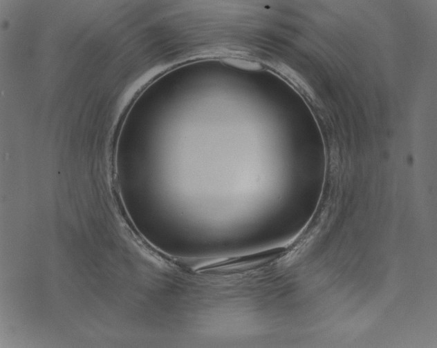 X0000073710854200608171136