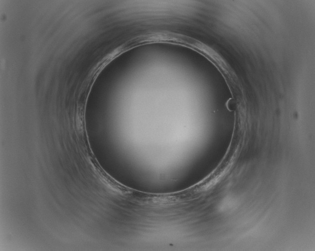 X0000073710857200608171136