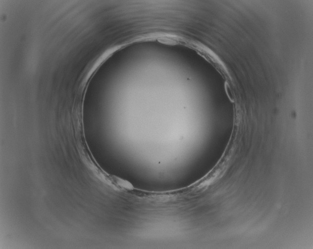 X0000073710860200608171136