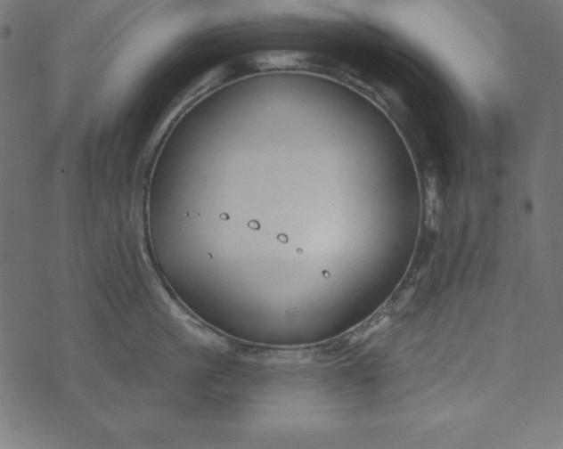 X0000073710861200608171136