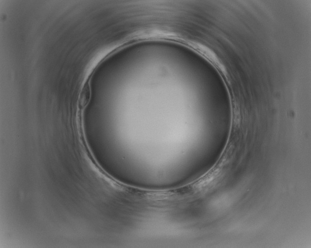 X0000073710863200608171136