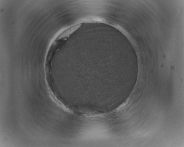 X0000073710864200608171136