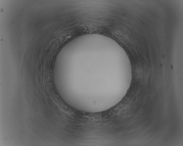 X0000073710865200608171136