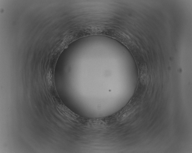 X0000073710866200608171136