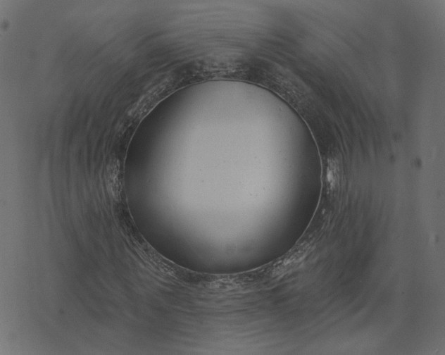 X0000073710867200608171136