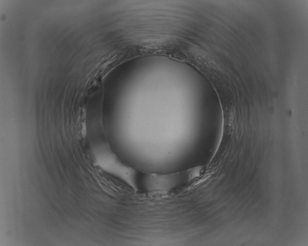 X0000073710868200608171136