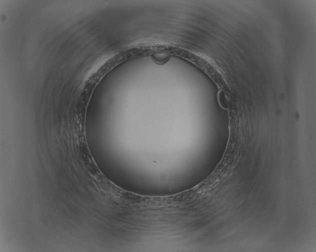 X0000073710871200608171135