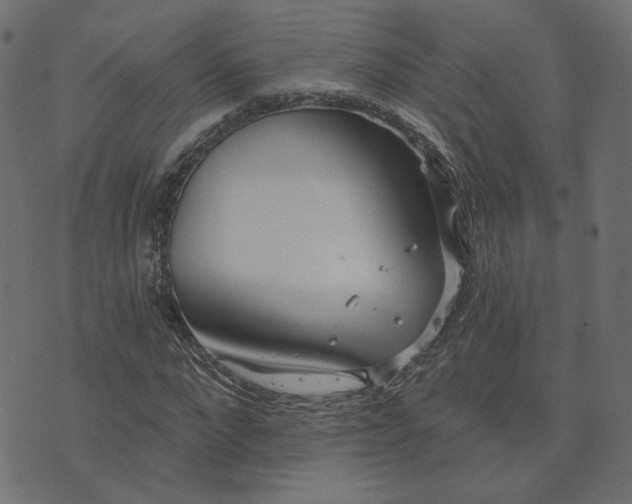 X0000073710872200608171135