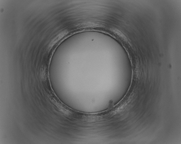 X0000073710873200608171135