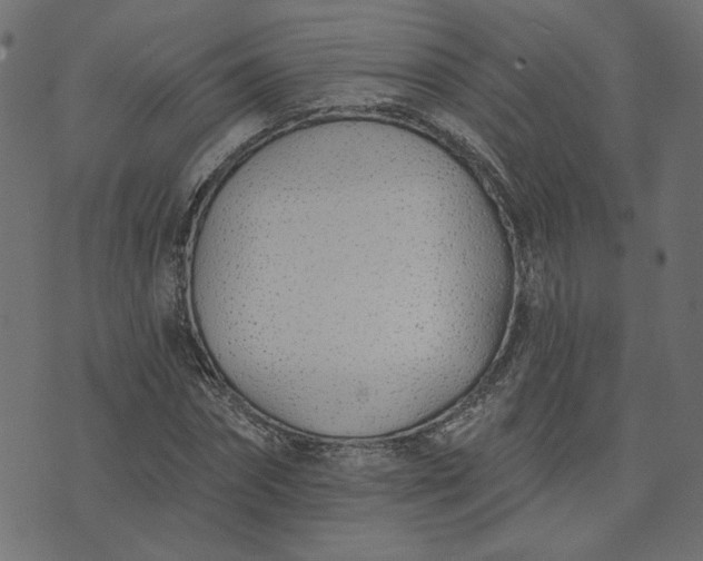 X0000073710874200608171135