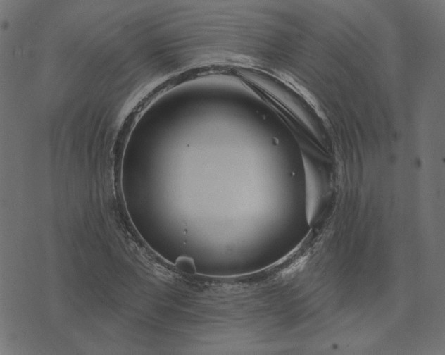 X0000073710877200608171135