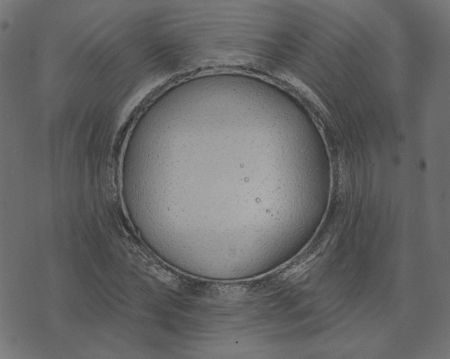 X0000073710878200608171135