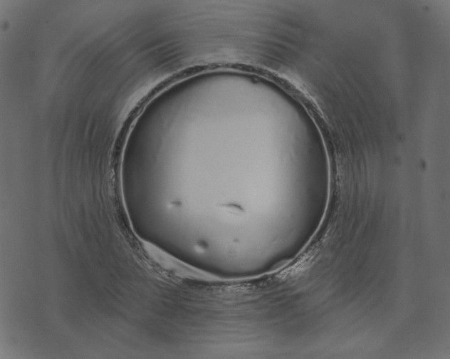 X0000073710879200608171135