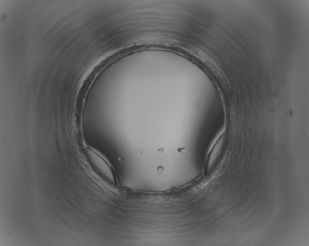 X0000073710880200608171135