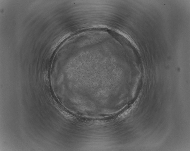 X0000073710881200608171135