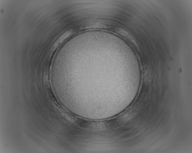 X0000073710882200608171135